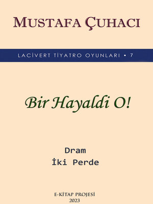 cover image of Bir Hayaldi O!